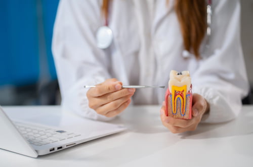 Dentist reviewing patient records and treatment coverage for the Canadian Dental Care Plan.